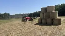 Massey Ferguson: trattori MF 1M e sollevatori telescopici MF TH DYNA-CT 2026