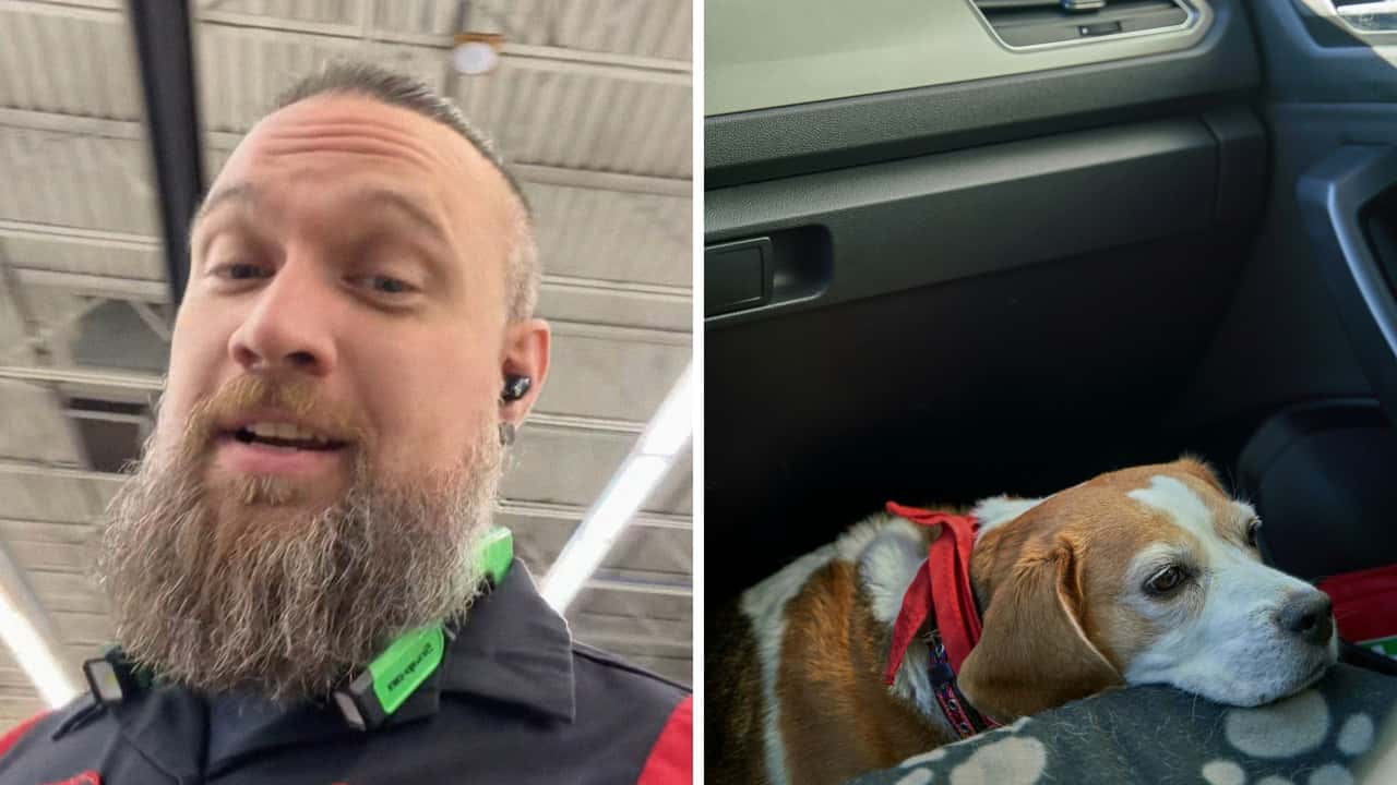 Toyota tech says never let your dog explore under your car seat. Then he reveals just how dangerous–and costly—this can be