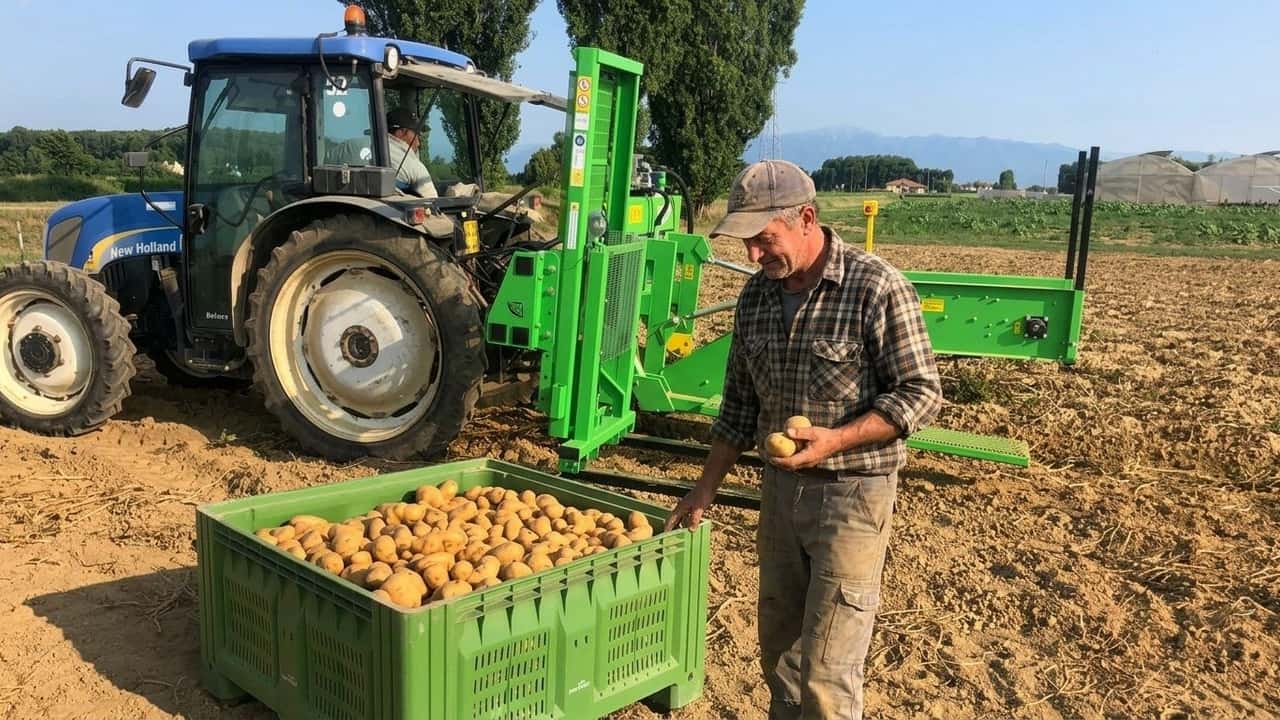 caldo-record-rese-patate-20-e-prezzi-gia-schizzati