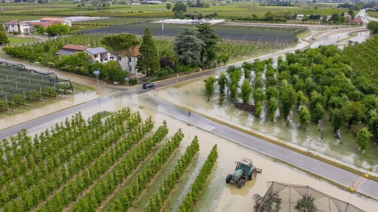 hai-avuto-danni-o-sospensioni-nel-2026-cosi-puoi-farti-tagliare-il-concordato-bi