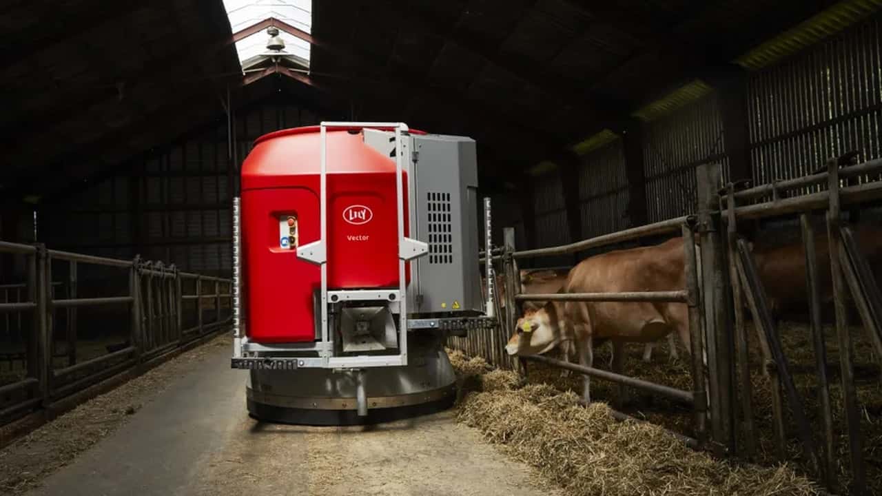 Lely Vector Next: il nuovo robot per allevamento MY 2025
