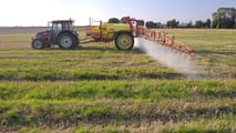 Glifosato Bayer e Corte Suprema USA: cosa cambia in Europa