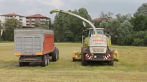 Come migliorare fermentazione e stabilità dell’insilato di triticale?