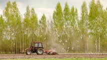 Gli escrementi degli uccelli causano corrosione, cortocircuiti e rischi d'incendio sui trattori. Dieci soluzioni pratiche per tenere gli uccelli fuori dal capannone