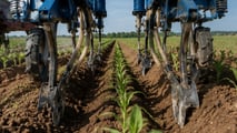 Attrezzature, taratura e integrazione con lavorazioni conservative per distribuire geoinsetticidi in banda lungo la fila colturale in modo preciso e sicuro