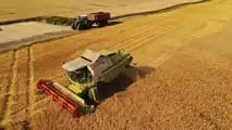 Il grano tocca 237 euro per tonnellata a Parigi con un rialzo del 15% a luglio: gli attacchi allo stretto di Kerch bloccano le esportazioni di Russia e Ucraina.
