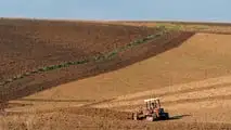 Clima estremo: 20 miliardi di danni in 4 anni all'agricoltura italiana. Latte -20%, gasolio +42%. I numeri della crisi 2026