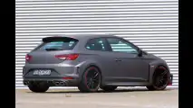 Dicke Cupra-Backen