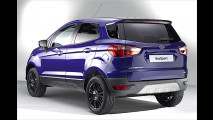 Ford EcoSport: Rad ab