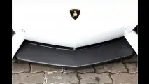 Kraft-Kur für den Stier