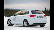 Erdgas im Audi A3 TCNG