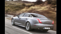 Jaguar XJR: Bären-Katze