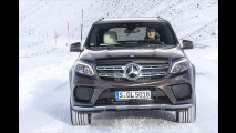 Bergpassziege und Autobahnelefant