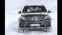 Bergpassziege und Autobahnelefant