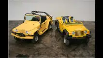 Vom Käfer zur Amphibie