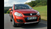 Suzuki mit Feinschliff