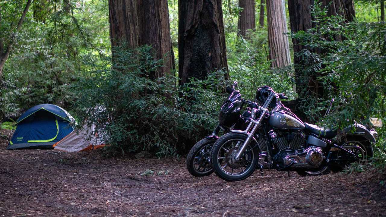 Meet The RideApart Team's Bikes: Dustin's Harley-Davidson Softail
