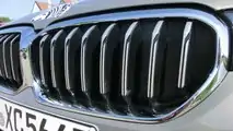 BMW 545e xDrive (2020): Grill mit Chromrand und matten Grillstäben