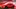 2019 Dodge Challenger R/T Scat Pack 1320