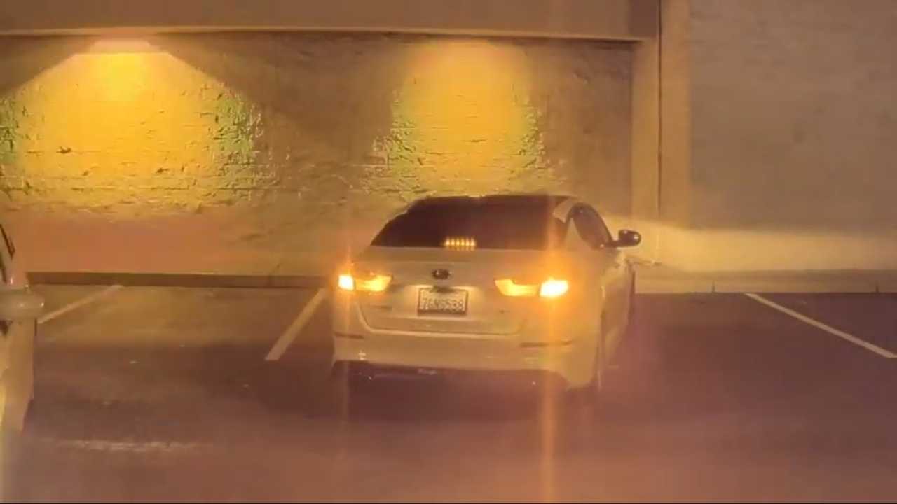 Glass-Breaking Butts Love To Show Up In Tesla Sentry Mode Videos