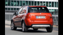 Suzuki mit Feinschliff