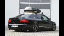 Schwarze Witwe siegt