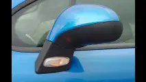 Löwe mit zwei Gesichtern