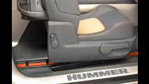 Wenn der kleine Hummer kommt