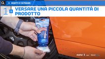 Il catrame e gli insetti