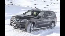 Bergpassziege und Autobahnelefant