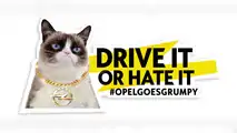 Opel Grumpy Cat Calendar