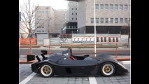 Radical  SR3