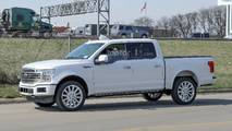 2019 Ford F-150 Limited casus fotoğraf