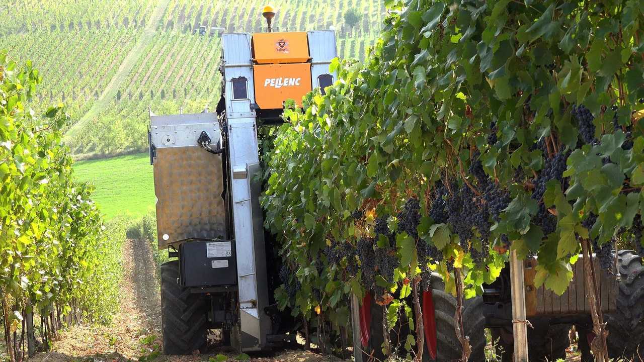 Volentieri-Pellenc 8050
