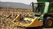 Testata girasole Fantini G03: ad Agritechnica 2025