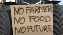 Proteste di agricoltori e trattori crescono in tutta Europa