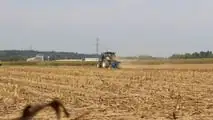 Foto - Valtra Q305 Perchè comprarlo
