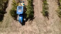 New Holland TK4 Stage V trattore cingolato MY 2023