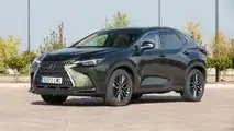 Prueba Lexus NX 350h Luxury 4x4