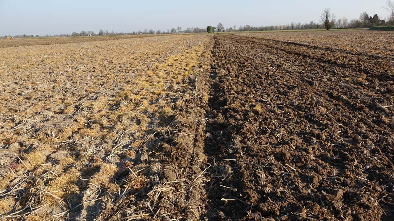  Valore terreno agricolo: scopri quanto può valere il tuo oggi