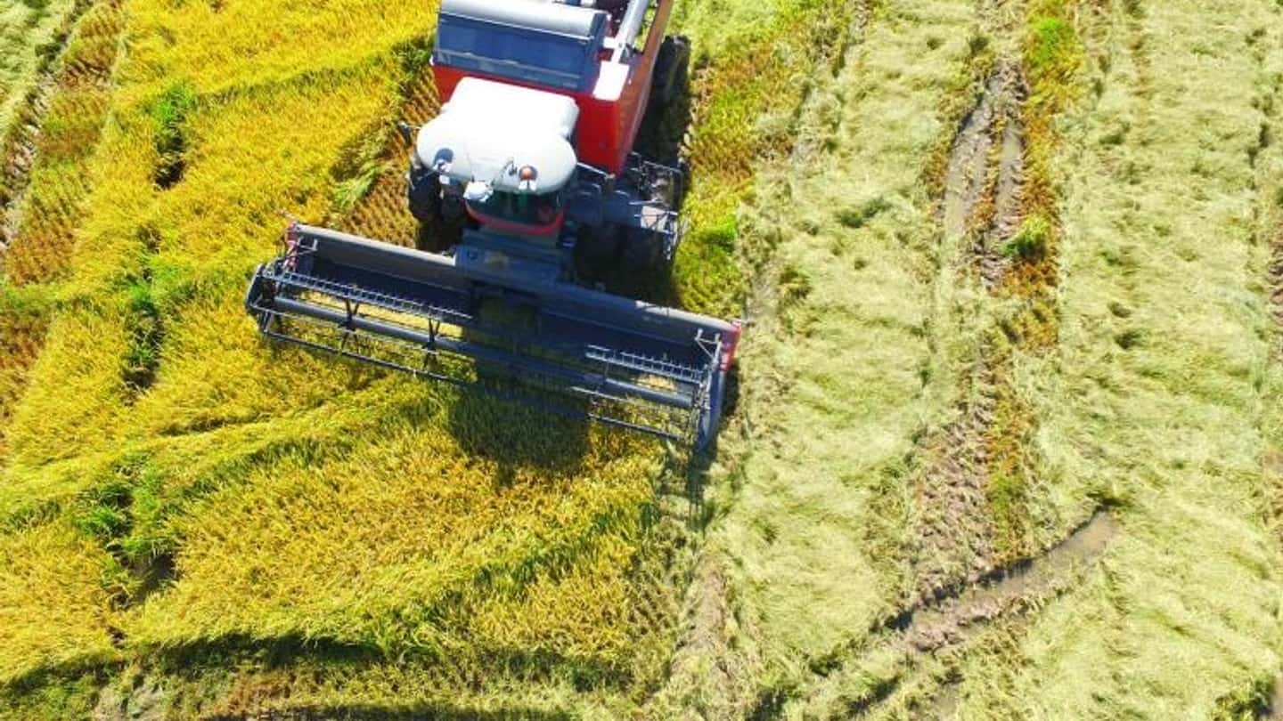 Campagna riso in Kuban con 670 mietitrebbie in campo