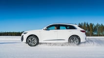 Scorpion Winter 3
