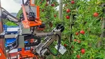 Slopehelper: robot agricolo elettrico per la viticoltura