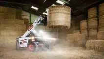foto Bobcat telescopico super compatto TL25.60 AGRI