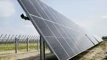 Bobcat in campo nel Delta del Po: i mezzi protagonisti di un maxi impianto agro-fotovoltaico a Loreo