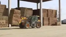 JCB: trasmissione variabile DualTech VT  per i sollevatori di Agro PO