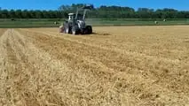 Strip till per soia: preparare il letto di semina solo in fila