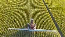 Strategie pratiche per pianificare monitoraggio, mezzi biologici, regolazioni dell’irroratrice e registrazione dei trattamenti contro la piralide del mais nel 2026
