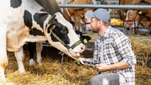 Bolus ruminali e sensori interni per l’estro bovino: applicazioni 2026