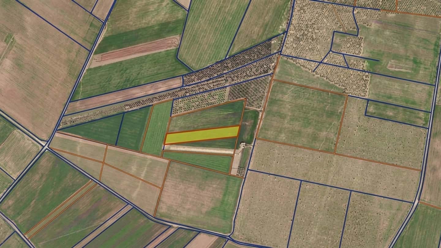 Partecipare alle aste telematiche di terreni agricoli